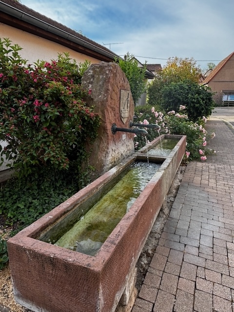 L’eau au fil du patrimoine